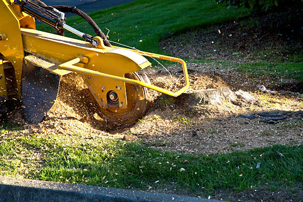 Mulching Services in Decatur, TX